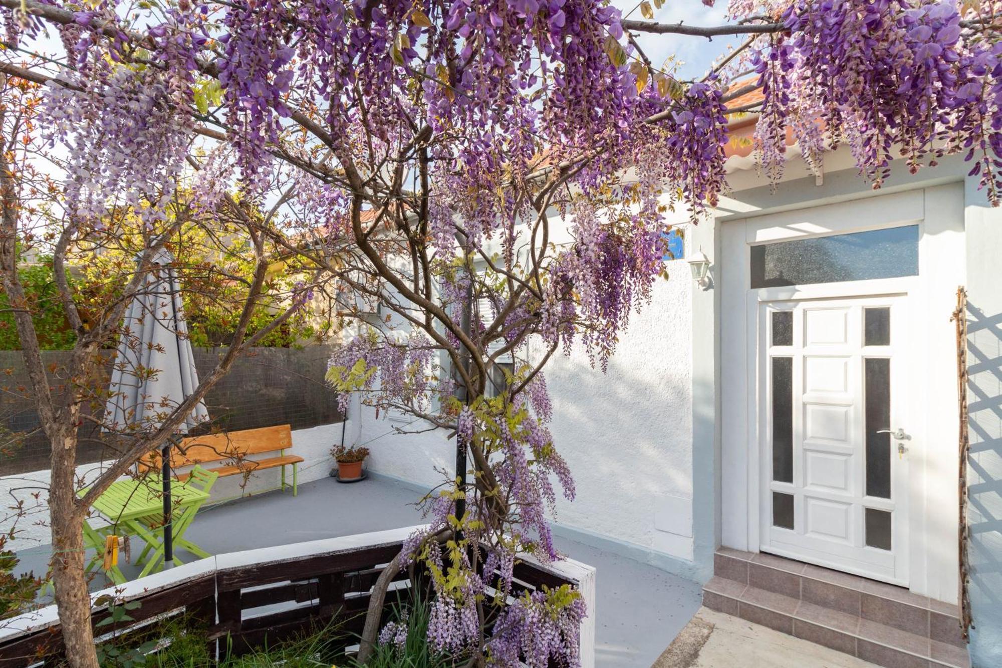 Apartman Ema Zadar Exterior foto